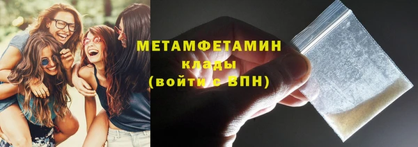 прущие грибы Верея