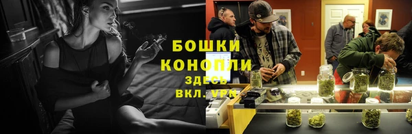 прущие грибы Верея