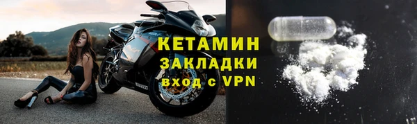 прущие грибы Верея