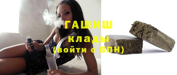 прущие грибы Верея