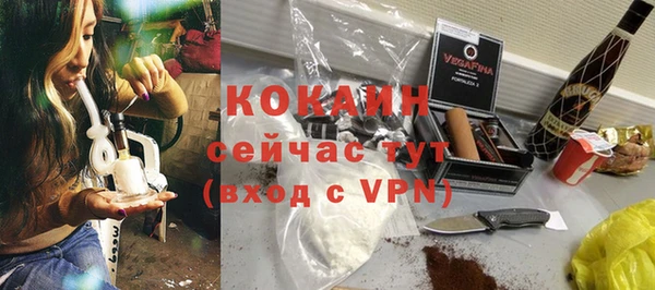 прущие грибы Верея