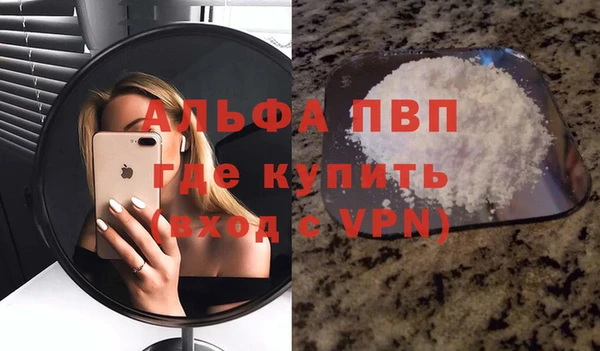 прущие грибы Верея