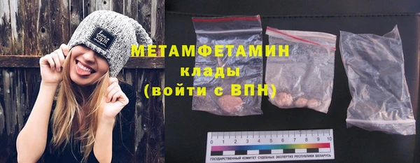 прущие грибы Верея