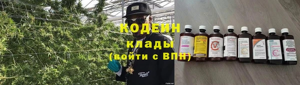 прущие грибы Верея