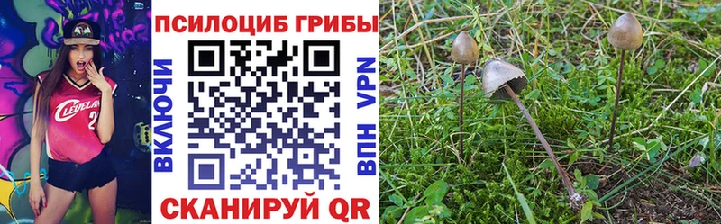 Галлюциногенные грибы Cubensis  цены наркотик  Можайск 